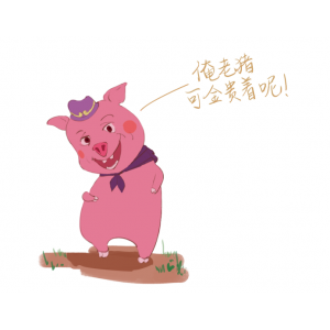 戴上这枚耳标，你就是一只有身份的猪